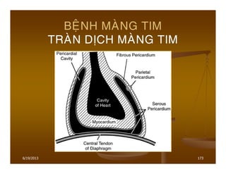 6/19/2013 173
BEÄNH MAØNG TIM
TRAØN DÒCH MAØNG TIM
 