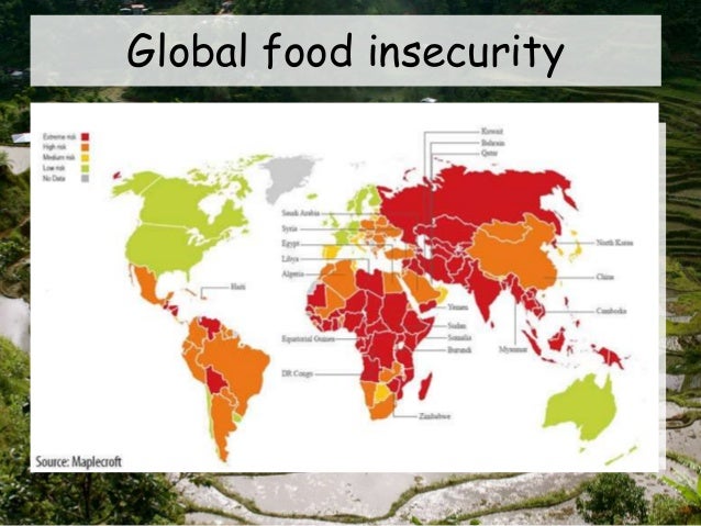 4 Global Hunger Ap 4-global-hunger-ap