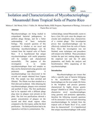 Article
Abstract
Mycobacteriophages are being studied to
comprehend bacterial pathogenesis, to
perform phage therapy, and for a better
understanding of basic molecular
biology. The research question of this
experiment is whether or not novel and
interesting mycobacteriophages can be
isolated from the tropical soils of Puerto
Rico. It is hypothesized that unique
mycobacteriophages with useful properties
will be isolated and characterized
successfully. The purpose of this
investigation is to isolate
mycobacteriophages from soil samples so
they can be characterized using genomic and
proteomic approaches. A
mycobacteriophage was discovered in the
seventh soil sample obtained from Caguas
P.R. The sample was then enriched and
filtrated. The filtrate was then streaked on a
Petri dish and incubated. After obtaining the
mycobacteriophages, plaques were extracted
and purified 4 times. The first purification
had to be repeated with a different phage
plug since no plaques were present on the
plate. The first two purifications showed a
greater concentration of plaques on the
second and third streak regions when
compared to the first region, unlike the third
purification. The third purification had to be
repeated as well due to contamination. The
isolated phage, named Musamodel, seems to
have a lytic life cycle since the plaques are
circular and completely clear, characteristic
of a virulent phage. This investigation
proves that mycobacteriophages can be
effectively isolated from the soils of Puerto
Rico. Since the investigation was not
finished, some techniques and procedures
still remain to be fulfilled. These procedures
include the spot test, making phage stocks,
the empirical test and the 10 plate
preparation, and finally the analysis and
bioinformatics/ DNA sequencing of the
mycobacteriophage.
Introduction
Mycobacteriophages are viruses that
infect a specific type of bacteria belonging
to the mycobacteria genus. “These
bacteriophages are the most ample life forms
in the biosphere and possess genomes
characterized by highly diverse genetic
designs” (Hatfull et al. 2006). The goal is to
characterize novel mycobacteriophages
using genomic and proteomic approaches,
therefore the following research questions
will be answered: Can novel and interesting
mycobacteriophages be isolated from the
tropical soils of Puerto Rico? If so, could
these be characterized? It is hypothesized
that unique mycobacteriophages with useful
Isolation and Characterization of Mycobacteriophage
Musamodel from Tropical Soils of Puerto Rico
Mónica C. Del Moral, Félix J. Vallés, Dr. Michael Rubin, RISE Program, Department of Biology, University of
Puerto Rico at Cayey
 