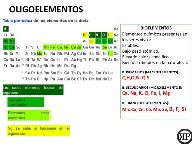 Tabla de Oligoelementos Funci n Alimentos y Suplementos