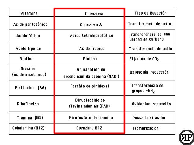 Oligoelementos Procana EDTA H2O2 Terapia Celular