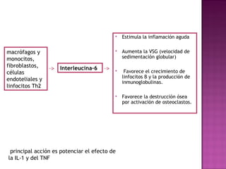  Estimula la inflamación aguda
 Aumenta la VSG (velocidad de
sedimentación globular)
 Favorece el crecimiento de
linfocitos B y la producción de
inmunoglobulinas.
 Favorece la destrucción ósea
por activación de osteoclastos.
Interleucina-6
macrófagos y
monocitos,
fibroblastos,
células
endoteliales y
linfocitos Th2
principal acción es potenciar el efecto de
la IL-1 y del TNF
 