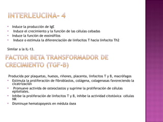  Induce la producción de IgE
 Induce el crecimiento y la función de las células cebadas
 Induce la función de eosinófilos
 Induce o estimula la diferenciación de linfocitos T hacia linfocito Th2
Similar a la IL-13.
Producida por plaquetas, huesos, riñones, placenta, linfocitos T y B, macrófagos
 Estimula la proliferación de fibroblastos, colágena, colagenasas favoreciendo la
cicatrización
 Promueve activida de osteoclastos y suprime la proliferación de células
epiteliales.
 Inhibe la proliferación de linfocitos T y B, inhibe la actividad citotóxica células
NK
 Disminuye hematopoyesis en médula ósea
 