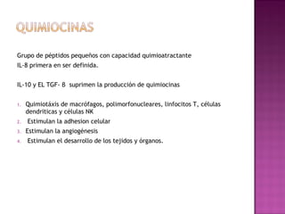 Grupo de péptidos pequeños con capacidad quimioatractante
IL-8 primera en ser definida.
IL-10 y EL TGF- β suprimen la producción de quimiocinas
1. Quimiotáxis de macrófagos, polimorfonucleares, linfocitos T, células
dendriticas y células NK
2. Estimulan la adhesion celular
3. Estimulan la angiogénesis
4. Estimulan el desarrollo de los tejidos y órganos.
 