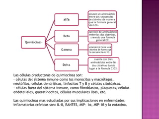 Las células productoras de quimiocinas son:
˗ células del sistema inmune como los monocitos y macrófagos,
neutófilos, células dendríticas, linfocitos T y B y células citotóxicas.
˗ células fuera del sistema inmune, como fibroblastos, plaquetas, células
endoteliales, queratinocitos, células musculares lisas, etc.
Las quimiocinas mas estudiadas por sus implicaciones en enfermdades
inflamatorias crónicas son: IL-8, RANTES, MIP- 1α, MIP-1β y la eotaxina.
 
