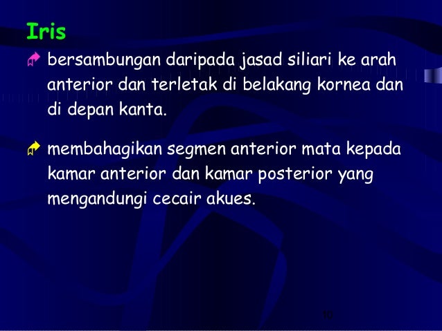 4 2 Struktur Fungsi Mata