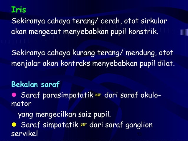 4 2 Struktur Fungsi Mata