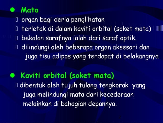 42 Struktur Fungsi Mata