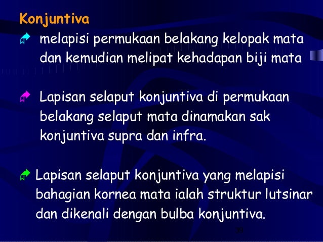 4 2 struktur fungsi mata 