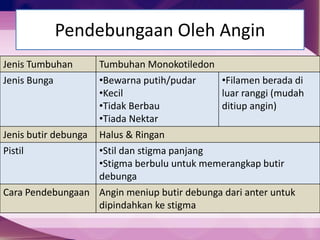 Pendebungaan Oleh Angin
Jenis Tumbuhan Tumbuhan Monokotiledon
Jenis Bunga •Bewarna putih/pudar
•Kecil
•Tidak Berbau
•Tiada Nektar
•Filamen berada di
luar ranggi (mudah
ditiup angin)
Jenis butir debunga Halus & Ringan
Pistil •Stil dan stigma panjang
•Stigma berbulu untuk memerangkap butir
debunga
Cara Pendebungaan Angin meniup butir debunga dari anter untuk
dipindahkan ke stigma
 