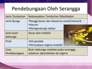 Pendebungaan Oleh Serangga
Jenis Tumbuhan Kebanyakkan Tumbuhan Dikotiledon
Jenis Bunga •Ranggi besar dan bewarna cerah/menarik
•Harum
•Mengandungi nektar
Jenis butir
debunga
Kasar dan melekit
Pistil •Stil pendek
•Permukaan stigma melekit
Cara
Pendebungaan
Butir debunga melekat pada serangga
sebelum dipindahkan ke stigma
 