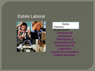 Estrés Laboral
Estrés
Trastorno
Biopsicosocial
Conjunto de
reacciones
fisiológicas y
psicológicas que
experimenta el
organismo
cuando se le somete a
fuertes demanda.
 