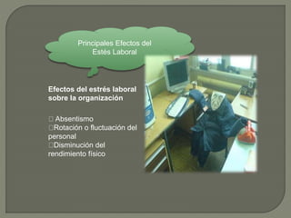 Principales Efectos del
Estés Laboral
Efectos del estrés laboral
sobre la organización
Absentismo
Rotación o fluctuación del
personal
Disminución del
rendimiento físico
 
