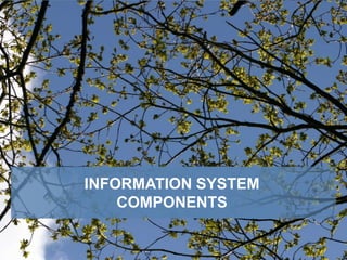 INFORMATION SYSTEM
COMPONENTS
 