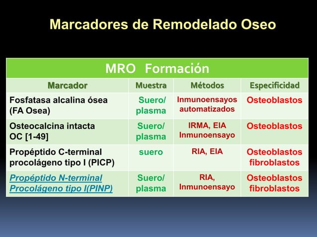 marcadores-de-remodelado-seo-pdf