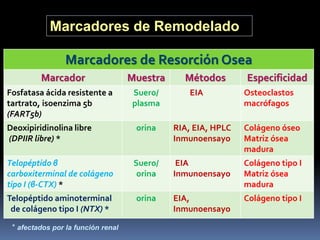 marcadores-de-remodelado-seo-pdf