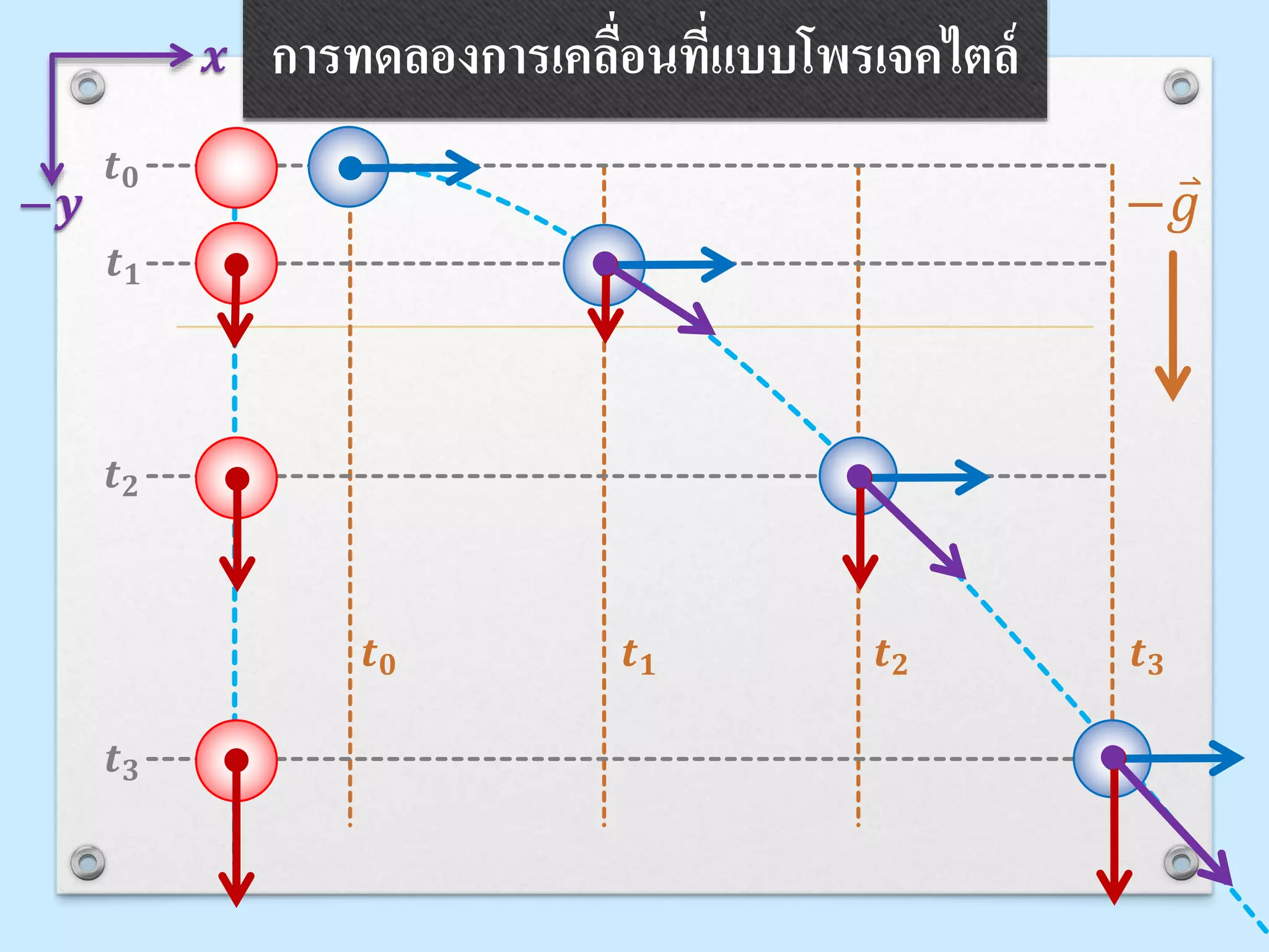 การทดลองการเคลื่อนที่แบบโพรเจคไตล์
− 𝑔
𝒕 𝟎
𝒕 𝟏
𝒕 𝟐
𝒕 𝟑
𝒕 𝟎 𝒕 𝟏 𝒕 𝟐 𝒕 𝟑
−𝒚
𝒙
 