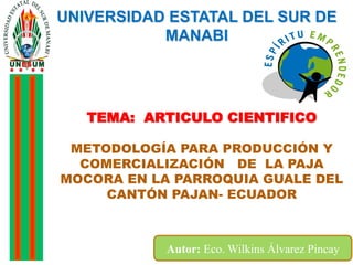 TEMA: ARTICULO CIENTIFICO
METODOLOGÍA PARA PRODUCCIÓN Y
COMERCIALIZACIÓN DE LA PAJA
MOCORA EN LA PARROQUIA GUALE DEL
CANTÓN PAJAN- ECUADOR
UNIVERSIDAD ESTATAL DEL SUR DE
MANABI
Autor: Eco. Wilkins Álvarez Pincay
 