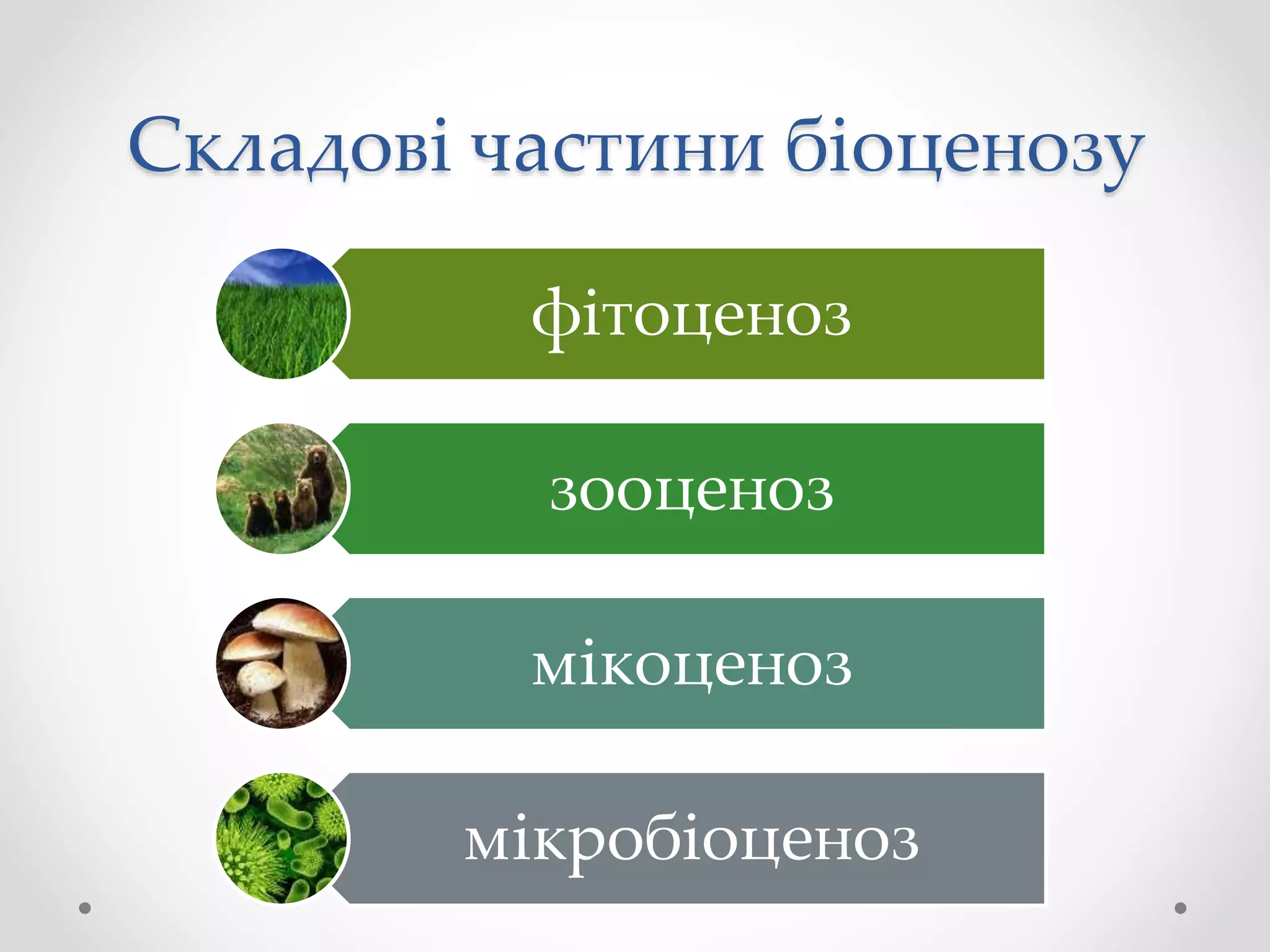 Складові частини біоценозу
фітоценоз
зооценоз
мікоценоз
мікробіоценоз
 