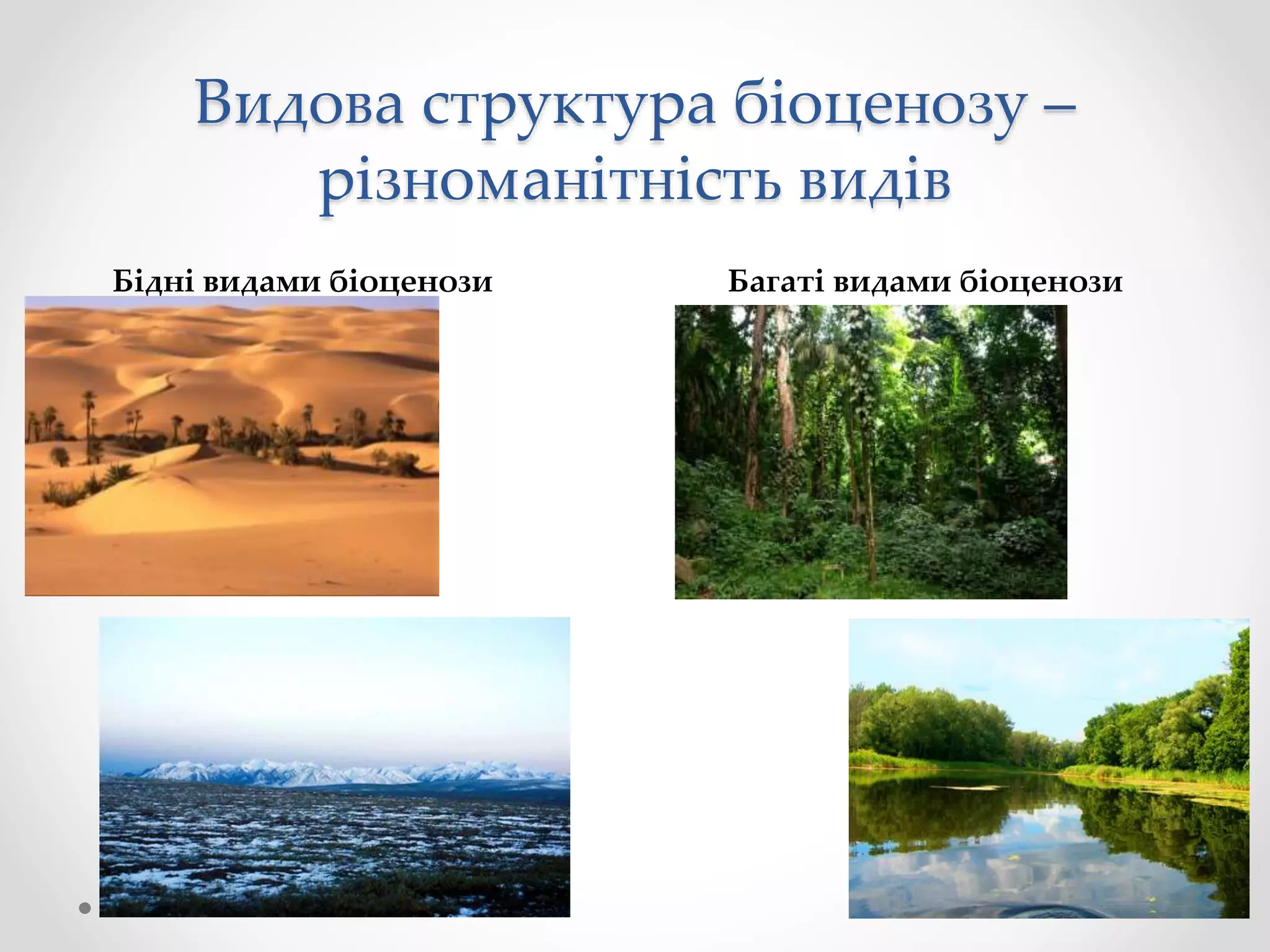 Видова структура біоценозу –
різноманітність видів
Бідні видами біоценози Багаті видами біоценози
 