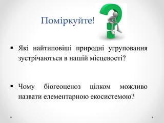 Поміркуйте!
 Які найтиповіші природні угруповання
зустрічаються в нашій місцевості?
 Чому біогеоценоз цілком можливо
назвати елементарною екосистемою?
 