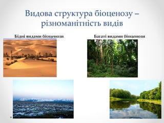 Видова структура біоценозу –
різноманітність видів
Бідні видами біоценози Багаті видами біоценози
 