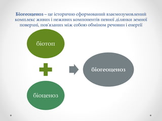 Біогеоценоз – це історично сформований взаємозумовлений
комплекс живих і неживих компонентів певної ділянки земної
поверхні, пов'язаних між собою обміном речовин і енергії
біотоп
біоценоз
біогеоценоз
 