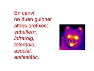 En canvi,
no duen guionet
altres prefixos:
subaltern,
infraroig,
teleràdio,
asocial,
antiestètic.
 