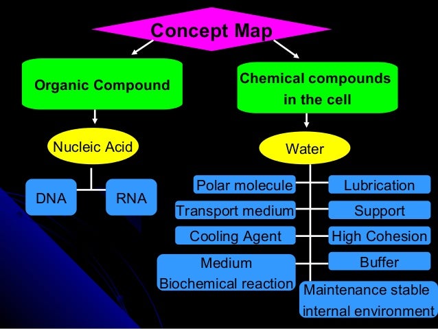 Biology Form 4 Water