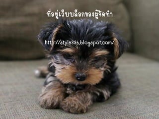 ที่อยู่เว็บบล็อกของผู้จัดทา 
http://style336.blogspot.com/  
