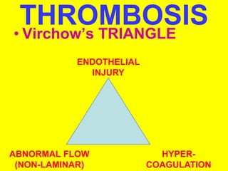 4. hemodyn disorders,thrombosis, shock | PPT