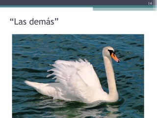 “Las demás”
14
 