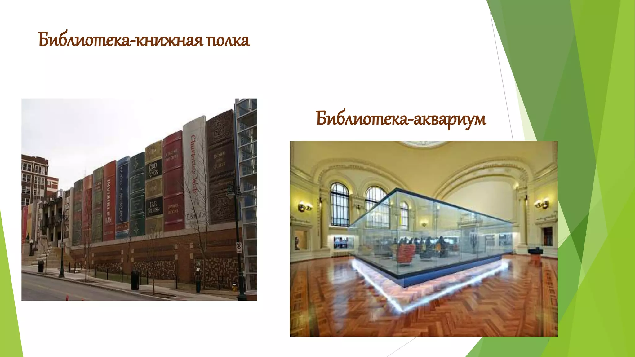 Библиотека-книжная полка 
Библиотека-аквариум 
 