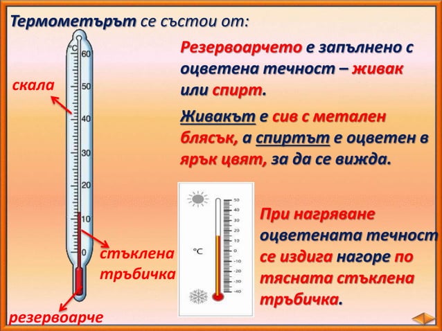 Измерване на температура - ЧП, 4 клас, Булвест