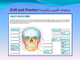 ‫والممارسة‬ ‫يب‬‫ر‬‫التد‬ ‫برمجيات‬‫والممارسة‬ ‫يب‬‫ر‬‫التد‬ ‫برمجيات‬Drill and PracticeDrill and Practice
 