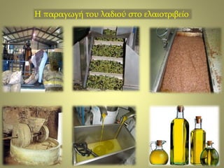 Η παραγωγή του λαδιού στο ελαιοτριβείο 
 