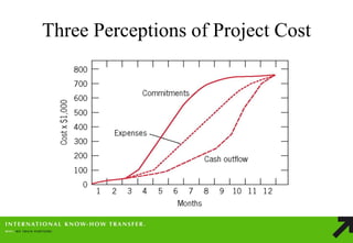 Three Perceptions of Project Cost  