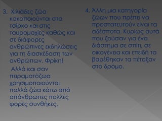 3. Χιλιάδες ζώα κακοποιούνται στα τσίρκο και στις ταυρομαχίες καθώς και σε διάφορες ανθρώπινες εκδηλώσεις για τη διασκέδαση των ανθρώπων. Φρίκη! 
Αλλά και σαν πειραματόζωα χρησιμοποιούνται πολλά ζώα κάτω από απάνθρωπες πολλές φορές συνθήκες. 
4. Άλλη μια κατηγορία ζώων που πρέπει να προστατευτούν είναι τα αδέσποτα. Κυρίως αυτά που ζούσαν για ένα διάστημα σε σπίτι, σε οικογένεια και επειδή τα βαρέθηκαν τα πέταξαν στο δρόμο.  
