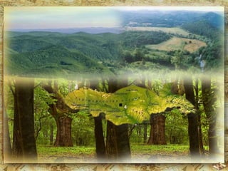 Малко 
Търново 
Свиленград 
 