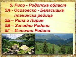 5. Рило - Родопска област 
5А - Осоговско - Беласишка 
планинска редица 
5Б – Рила и Пирин 
5В – Западни Родопи 
5Г – Източни Родопи 
 