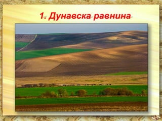 1. Дунавска равнина 
 