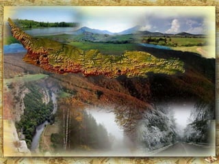3. Краищенско - Средногорска 
област 
3А – Задбалкански котловини 
3Б – Средна гора и Витоша 
3В - Краище 
 