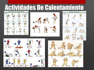 Actividades De Calentamiento 
