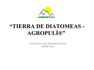 “TIERRA DE DIATOMEAS - 
AGROPULÍ®” 
USO EN EL CULTIVO DE PALMA 
AFRICANA. 
 