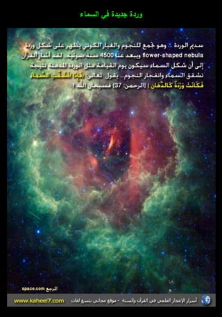 وردة جديدة في السماء 
 