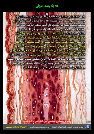 كلا إذا بمغت الت ا رقي 
 