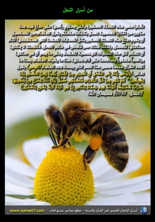 مف أس ا رر النحؿ 
 