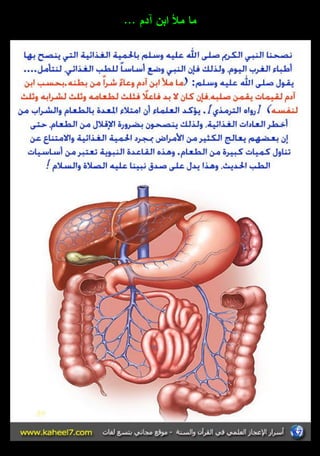 ما ملأ ابف آدـ ... 
 