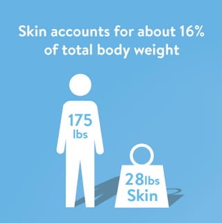 Health Fact:  Skin accounts for about 16% of your total weight