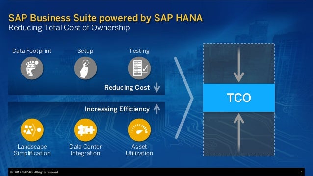 New Economics Of Sap Business Suite Powered By Sap Hana
